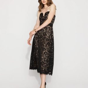 Petite Strapless Lace Midi Dress